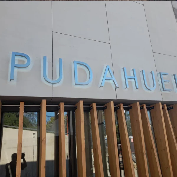 LETRAS ACRILICO 4